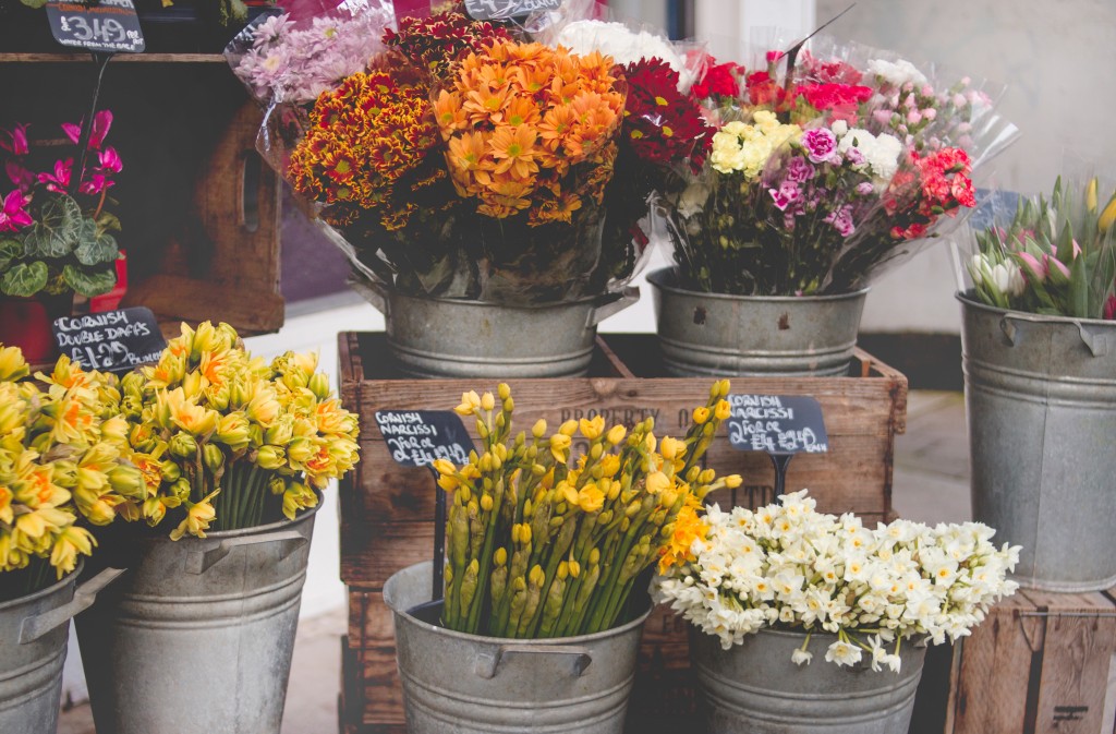 arrangement-bloom-blooming-977913