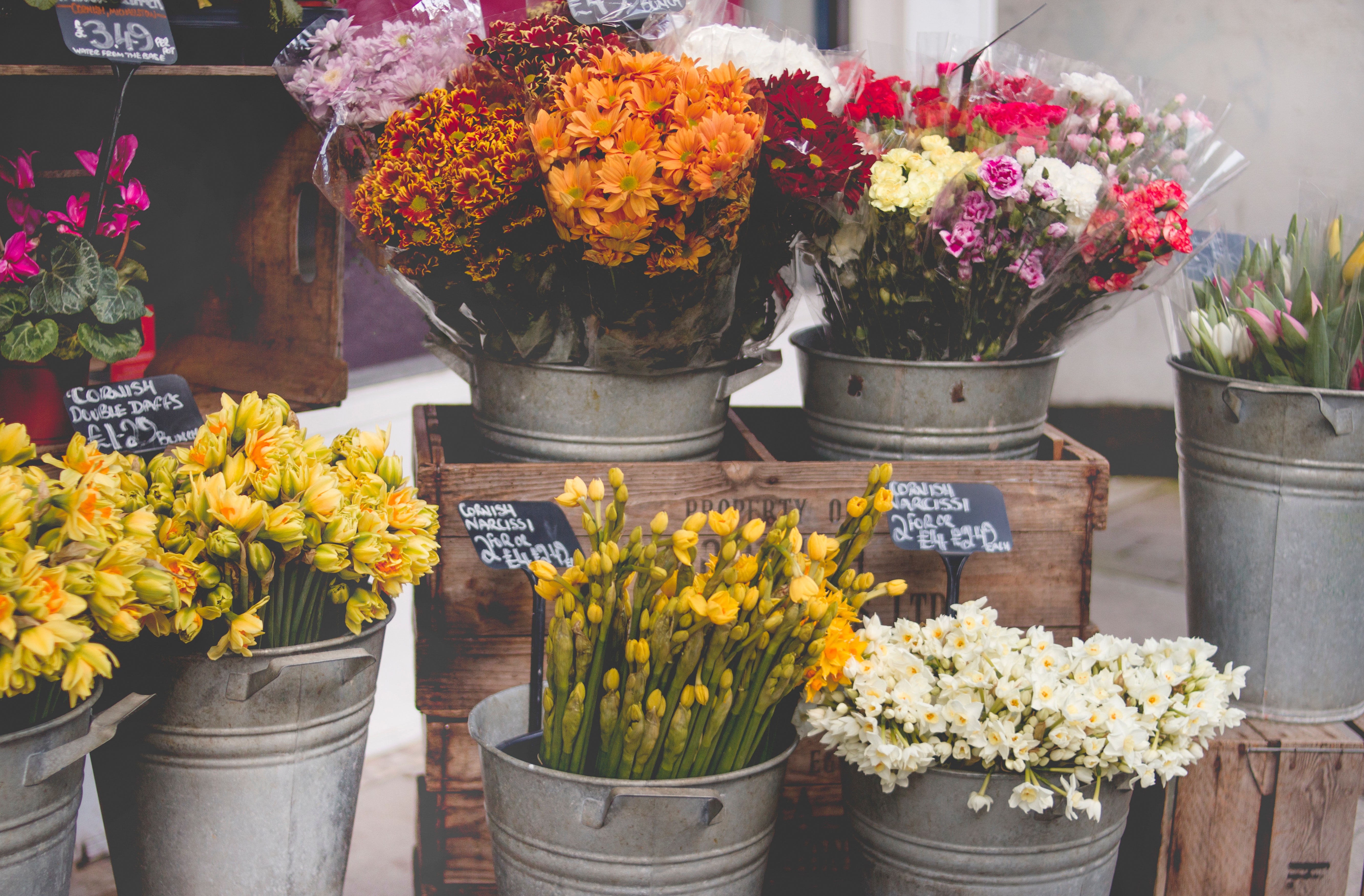 arrangement-bloom-blooming-977913